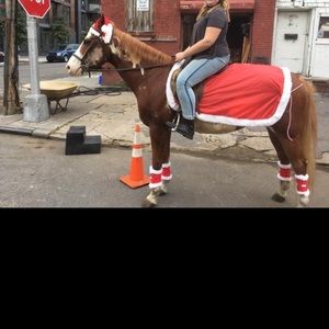 Meet your Posher, Drew